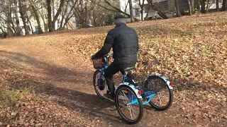 Трехколесный электровелосипед / трицикл / трайк - Horza Stels Trike 1500W