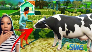 HOW TO BUY FARM ANIMALS | SIMS 4 COTTAGE LIVING