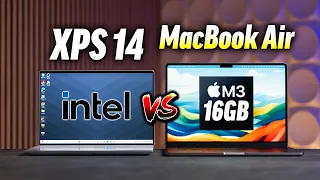 XPS 14 vs MacBook Air M3 - Best Premium Laptop in 2024?!