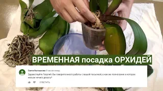 КОРНИ ОРХИДЕИ из посылки и ВРЕМЕННАЯ посадка