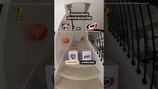 Puppy playoff predictions for the Eastern Conference Final 🐕