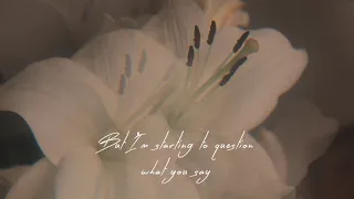 Olivia Dean - Reason To Stay Lyrics