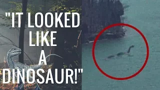 True Dinosaur Sightings From Across The World!  (Did They Really Go Extinct?)