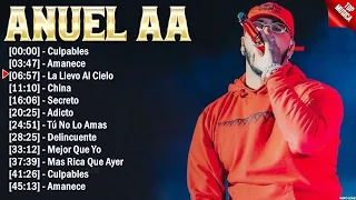 Anuel AA Mix Éxitos~ Lo Mas Nuevo 2023 ~ Lo Mejor Canciones