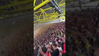 #BVB Dortmund Fans Singing Together #Dortmund vs ACMilan #ChampionsLeague2023# Signal Iduna Park#UCL