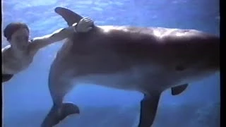 Flipper (1996) Teaser (VHS Capture)