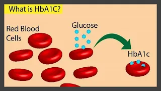 教您如何降低糖化血紅素？