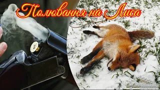 Полювання на Лиса 2021🦊 Санітарний відстріл 2