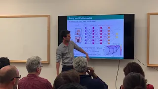 Estimating the Information Flow in Deep Neural Networks