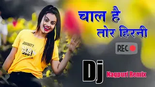 #Chal_Hai Tor Hirni #Nagpuri Dj Song 2023 Nagpuri Dj Remix Song Nagpuri Song Aliram Officaldjshripal