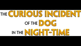 The Curious Incident of the Dog in the Night Time