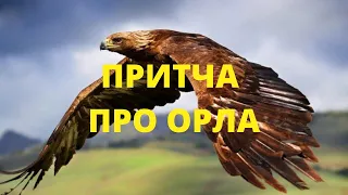 Мудрая притча про Орла