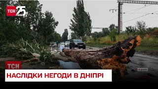 💨 У Дніпрі злива та буревій повалили дерева на дорогу і дахи