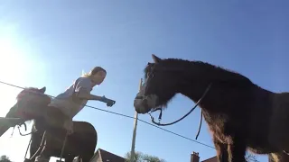 Spring morning routine🐴