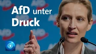 Möglicherweise illegale Großspende aus der Schweiz an die AFD