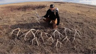 Saskatchewan Shed hunt