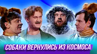 Собаки вернулись из космоса — Уральские Пельмени | Азбука Уральских Пельменей - З