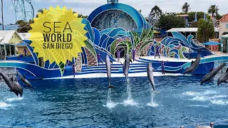 SeaWorld San Diego, Dolphin full show, Dolphin Days