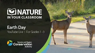 Nature in Your Classroom - Earth Day | Grades 1-3