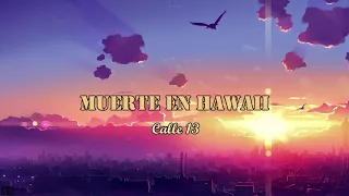 Muerte En Hawaii (AUDIO 8D) - Calle 13