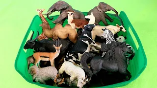Herbivorous Animals - Learn Animal Names with Figurines