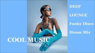DEEP LOUNGE Funky Disco House Mix