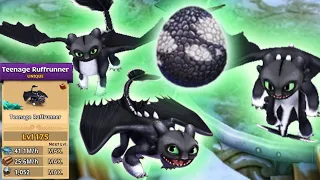 Teenage Ruffrunner - Grown-Up Night Light Max Level 175 Titan Mode | Dragons: Rise of Berk