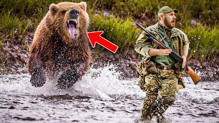 12 Brutal Times Animals Took Revenge On Humans