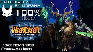 «Warcraft III: The frozen throne» - Ужас приливов, глава 8: Два брата