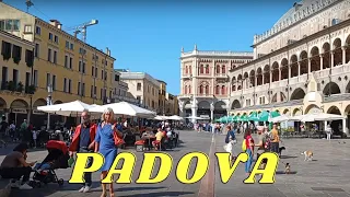 PADOVA [Padua] - ITALY 🇮🇹 - OTTOBRE 2023 - 4K Walking Tour