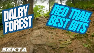 DALBY FOREST MTB💥Full Red Trail