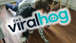 Dog Prevents Push-ups || ViralHog