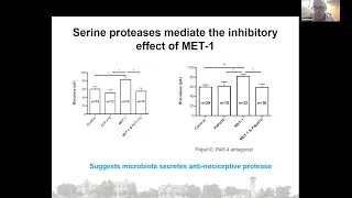 The Microbiome: Brain Gut Axis