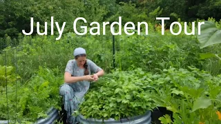 July Garden Tour and Chicken Processing ~ Zone 5 Garden