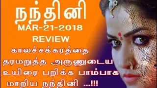 Nandhini serial 21/3/18 Full episode Review | Nandhini Serial today episode