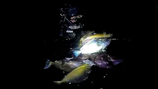 NIGHT HUNT🎯 | Masaganang BIYAYA sa gabi🙌#spearfishingPhilippines #supportlocal