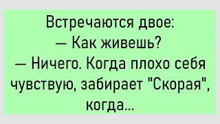 🐔Муж Смотрит Телевизор...Большой Сборник Смешных Анекдотов,Для Супер Настроения!