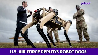 Robot dogs reporting for duty for U.S. Air Force