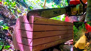 Amazing 5 Freehand Chainsaw Milling Wood Processing ! Operator skill level is best (Technique)