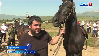 В станице Преградной прошли скачки посвященные столетию Республики