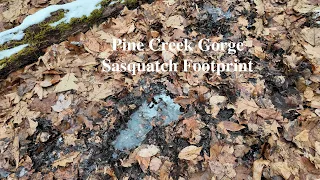 Bigfoot - Pine Creek Gorge / Sasquatch Footprint