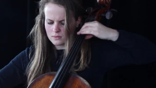 Flamenco - Tagell | Dana de Vries - Cello