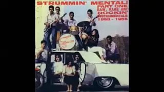 Various ‎– Strummin' Mental! Vol 1 : Raw, Rare And Rockin' Instrumentals 1958-1965 Surf Music