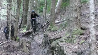 Haldon Forest Mtb - New trails and bails! 🌲