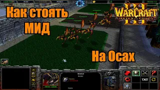 Legion TD [4x4] Как стоять МИД на Осах