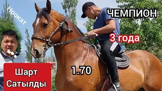 💥ЧЕМПИОН 💥 Сатылды