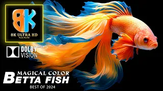 BEST OF OLED Demo | 8K HDR 120fps Dolby Vision🎶Betta Fish Dance & Calming Music (Extremely Relaxing)