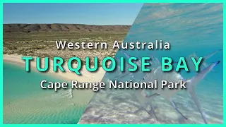 Turquoise Bay, Ningaloo Reef, Cape Range National Park, Western Australia - 4K UHD