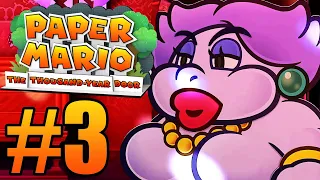 Paper Mario: The Thousand-Year Door (Switch) Gameplay Walkthrough Part 3