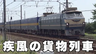 【貨物列車】疾風の貨物列車 全22本　猛暑の街に響く大迫力モーター音と高速ジョイント音‼真夏の太陽の下を力強く走り抜ける大迫力の貨物列車　Powerful freight train